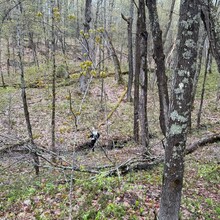 Michael Garneau, Justin Langevin - Ottawa-Temiskaming Highland Trail (ON, Canada)