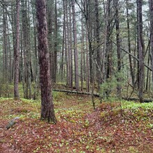Michael Garneau, Justin Langevin - Ottawa-Temiskaming Highland Trail (ON, Canada)