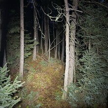 Michael Garneau, Justin Langevin - Ottawa-Temiskaming Highland Trail (ON, Canada)