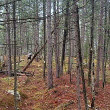 Michael Garneau, Justin Langevin - Ottawa-Temiskaming Highland Trail (ON, Canada)