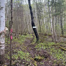 Michael Garneau, Justin Langevin - Ottawa-Temiskaming Highland Trail (ON, Canada)