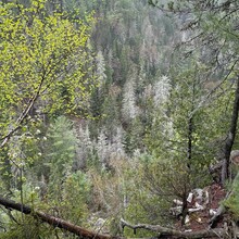 Michael Garneau, Justin Langevin - Ottawa-Temiskaming Highland Trail (ON, Canada)