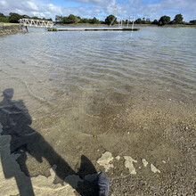 Greg Nance - Auckland Coast to Coast