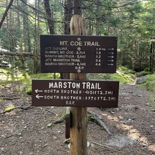 Sarah Cary - Marston Trail Loop (Baxter State Park, ME)