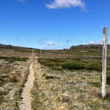 Bradley Harris - Falls to Hotham Alpine Crossing