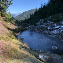 Phyllis  Stanley , Staci Revel - Dosewallips River Trail - East Fork Quinault River Trail (WA)