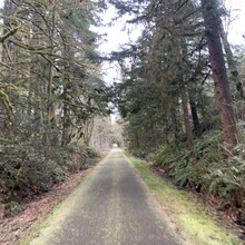 Becky Grebosky - Banks-Vernonia State Trail (OR)