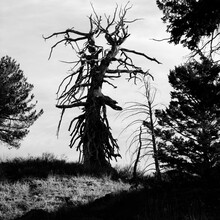 Blake Bekken - Foothill Ultimate Ridge Linkup