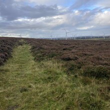 Alice Baird - The Herring Road (United Kingdom)