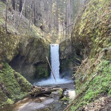 Courtney Clifton - Oneonta Gorge Falls Loop (OR)