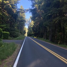 Krista Fasciano - Oregon Coast Trail (OR)