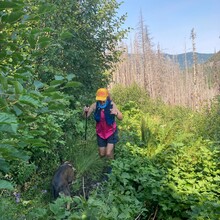 Jeanne Zoppo - Badger Creek Trail #479
