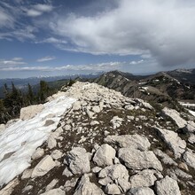 Brian Ralph - The Belly Button