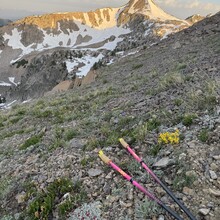 Brian Ralph - The Belly Button