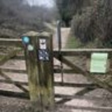 Matt Mandelbaum - Kingfisher Trail (United Kingdom)