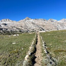 Kiana Ramli - Bishop "Sky Marathon"