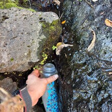 Elyse Fischer - Zion Crossing (UT)