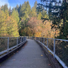 Audrey Lawrence - Snoqualmie Valley Trail (WA)