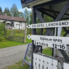 Ole Engen - Tårntur Åsleia - Hauerseter