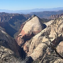 Elyse Fischer - Zion Crossing (UT)