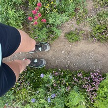 Emily Keddie - Oregon Volcanic Skyline Route