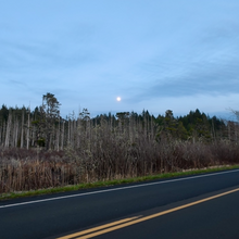 Megan Lacey, Christof Teuscher - Corvallis-to-Sea-Trail (OR)