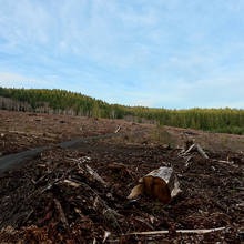 Megan Lacey, Christof Teuscher - Corvallis-to-Sea-Trail (OR)