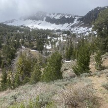 Aaron Tucker - Summit Trail (South Warner Wilderness, CA)