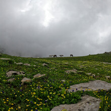 Nupur Singh - Brighu Lake Trail (India)