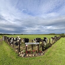 Benjamin Moré - Ireland Way (Ireland)