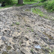 Irene Kinnegim - Dutch Mountain Trail (Netherlands)