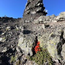 Emily Keddie - Oregon Volcanic Skyline Route