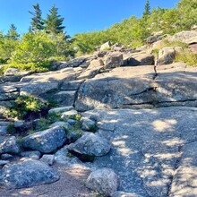 Whitney Richman - Cadillac Mountain (Acadia NP, ME)