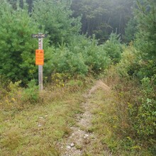 Amber Rankin Marble - Great Pond Mountain Summit (Capstone to Stuart Gross) (ME)