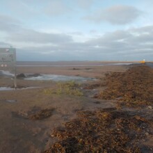 Andrew Waddington - St Cuthbert's Way (United Kingdom)