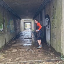 Andy Imms, Tim McDowell - New Forest N-S (United Kingdom)