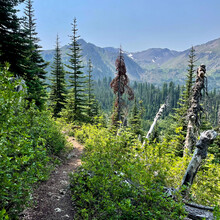 Keith Laverty - Constance Pass Loop (Olympic National Park, WA)