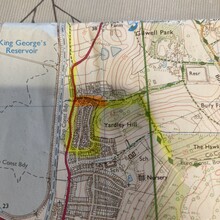 Michelle Ayrton - Epping Forest Challenge Walk (UK)