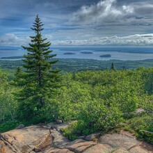 Meagan Denman - Cadillac Mountain (Acadia NP, ME)