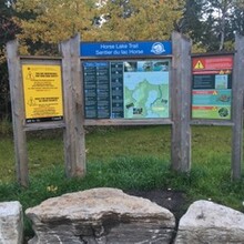 Jamieson Hatt - Tobermory Five Trail Challenge (ON, Canada)