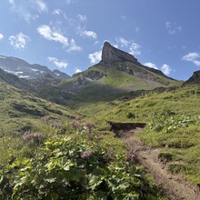 Liz Derstine - Via Alpina (Switzerland)