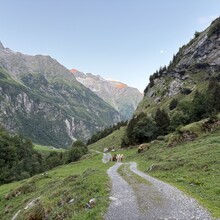 Liz Derstine - Via Alpina (Switzerland)