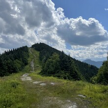 Liz Derstine - Long Trail (VT)