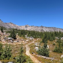 Tori Maffeo - Diamond Peak (OR)
