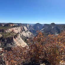 Elyse Fischer - Zion Crossing (UT)