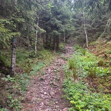 Randi Aalgaard - Nordmarka High Five (Norway)