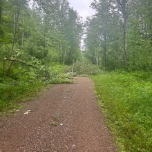 Megan Veldkamp - Pine Line Trail (WI)