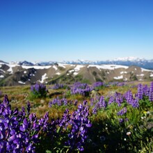 Kyle McCrohan - Olympic National Park Grand Loop (WA)