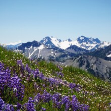 Kyle McCrohan - Olympic National Park Grand Loop (WA)