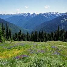 Kyle McCrohan - Olympic National Park Grand Loop (WA)